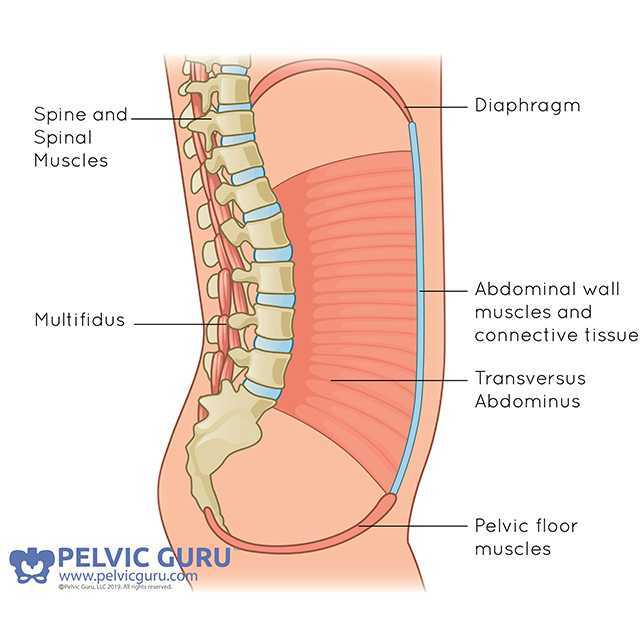 posture core back pain bloomingdale il chiropractor